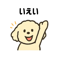 トイプー×マルチーズ「ポム」の一言日記