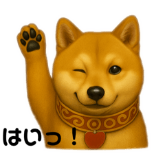 豆柴あんちゃん