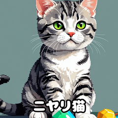 40表情アメリカンショートヘアねこ