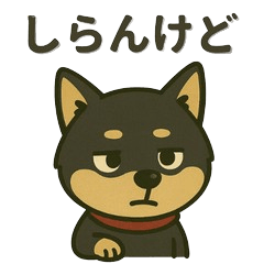 関西弁を喋る黒柴