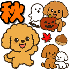 秋♡ず～っと使える♡トイプードル