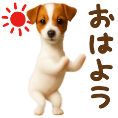 踊る！ジャックラッセルテリア