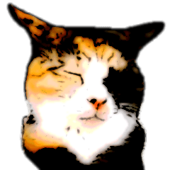 キャラのある３猫さんたち vol.3