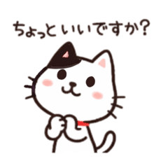 イイねこ