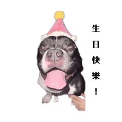 Serena_20251115015854