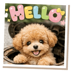 飛び出す♡まいにちといぷー