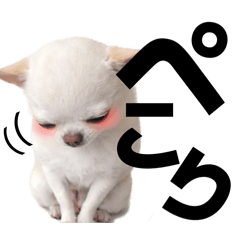 40個！一年中ずーっと毎日使えるデカ文字