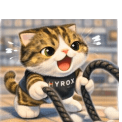 MY NAME IS GIANT V. HYROX