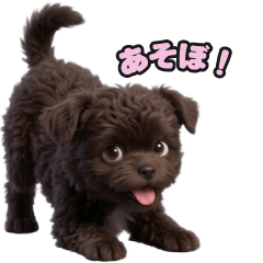 チワプーのLINEスタンプ176