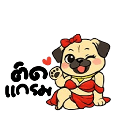 P.lili