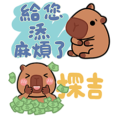 Cai-Meng-Cat-capybara8