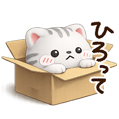 まる☆アメショ