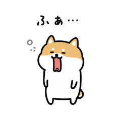 小さい柴なの。
