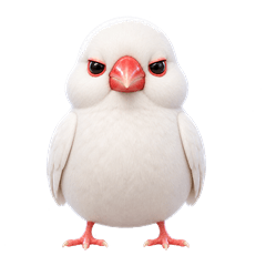 白文鳥の静かな圧と本音