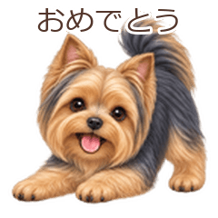 動く♪ヨークシャーテリアの毎日