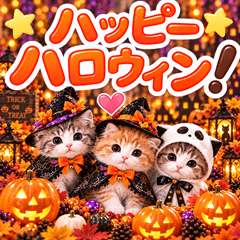 とびだす★ハロウィン★にゃんこ 猫 ねこ