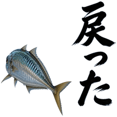 アジ 日常の筆文字スタンプ