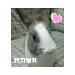 hitori_20190423111915