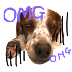 きなめーちゃん2