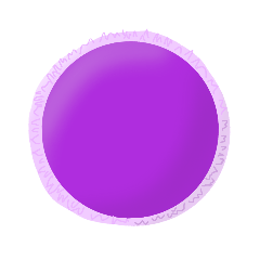 watwat_20250225103608