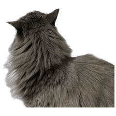 かわいいちまきくん2