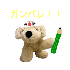 わんちゅうわんつー