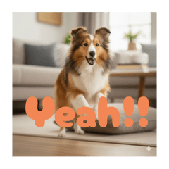 可愛い犬スタンプ　シェルティ編