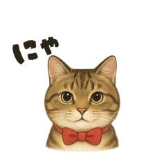 ねこのアンちゃん