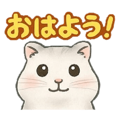 おもちハムスターの日常