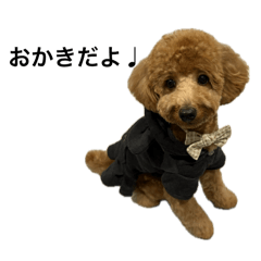 かっきースタンプ♩