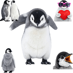 ペンギン　赤ちゃん