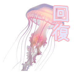 ふわっと癒す♪クラゲの優しいまいにち