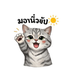 Application28_20260412113256