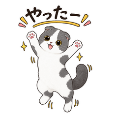 猫乃大福