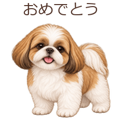 動く♪シーズーの毎日