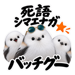 死語をしゃべるシマエナガ｜昭和平成の返事