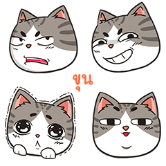 KOON trollcat emoji