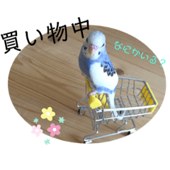 まるいインコのすたんぷ