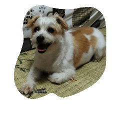 おはようございます！