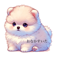 ぽめらにあん生活(Pomeranian Life)