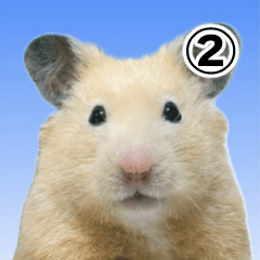 こめちのスタンプ-Vol.2-