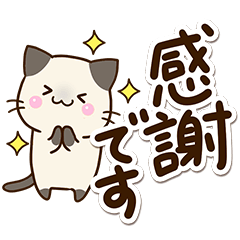 楽しい☆おちゃめなシャム猫