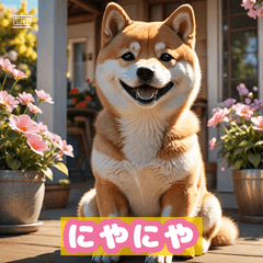 しば犬のきもち40