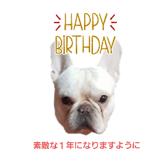 甘えん坊わさびさんの日常⑤