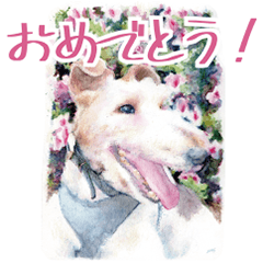 ワイヤーフォックステリアの愛犬ジロー