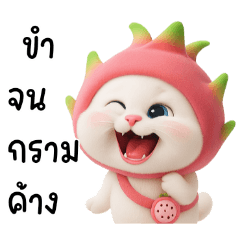 かわいいドラゴンフルーツ猫
