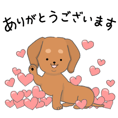 My color ダックスフンド レッド