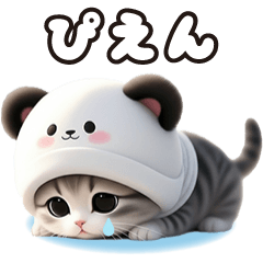 パンダ帽が可愛い猫 気軽に毎日使えるBIG