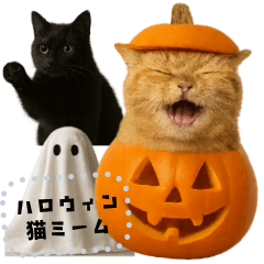 書き込める♥ハロウィンな猫ミーム