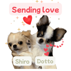 シロ ＆ドット ver.2